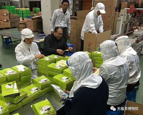 天福 茶業界第一品牌