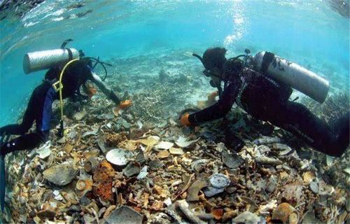 漁民發(fā)現(xiàn)一沉船,50億寶藏只打撈到5000萬(wàn),剩下的在哪兒