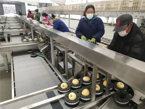 復工復產,擼起袖子干