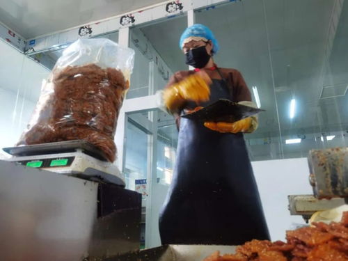 在寧夏,這些小產業托起了群眾穩穩的幸福